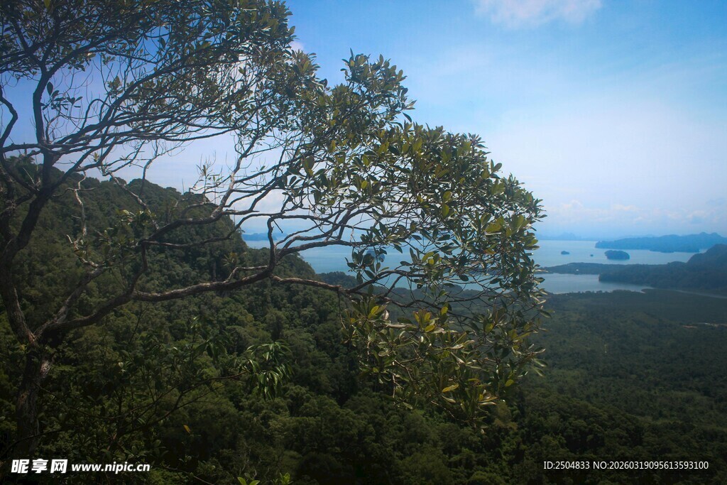 山林远眺海景秀丽风光