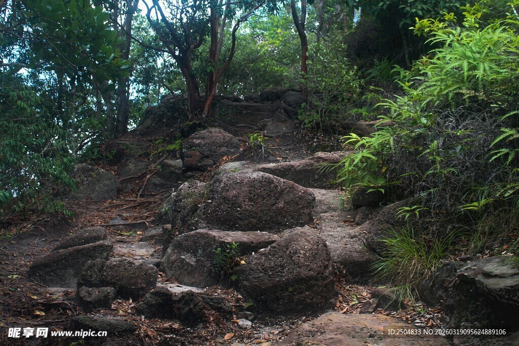 山间崎岖岩石与繁茂植被