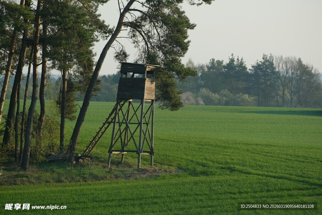 田野边的木质瞭望塔