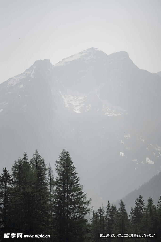 雾中森林与远山景色