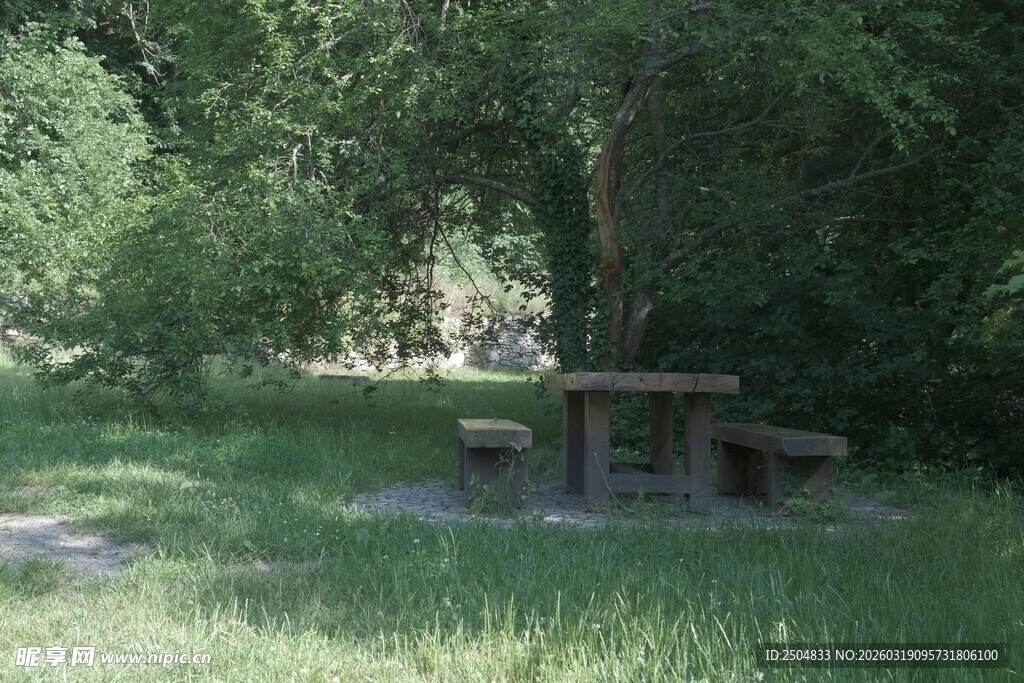林间野餐桌 静谧自然景