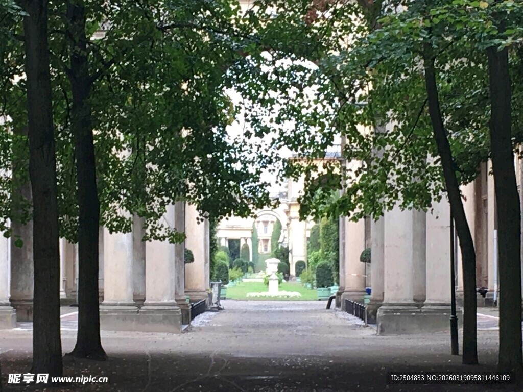 林荫下的静谧庭院小道