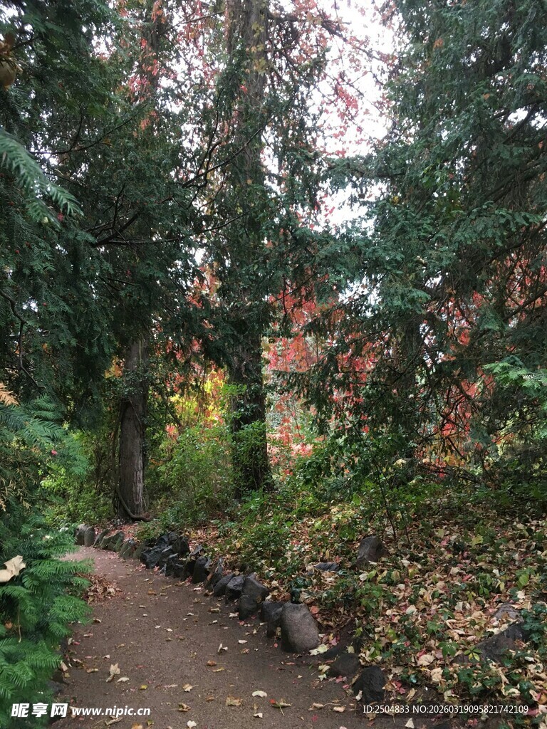 秋日林间小径美景