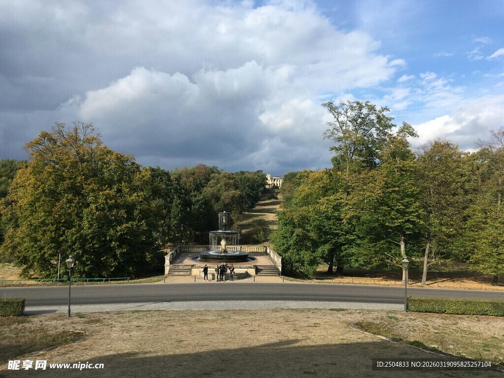 郊外公路旁的葱郁树林