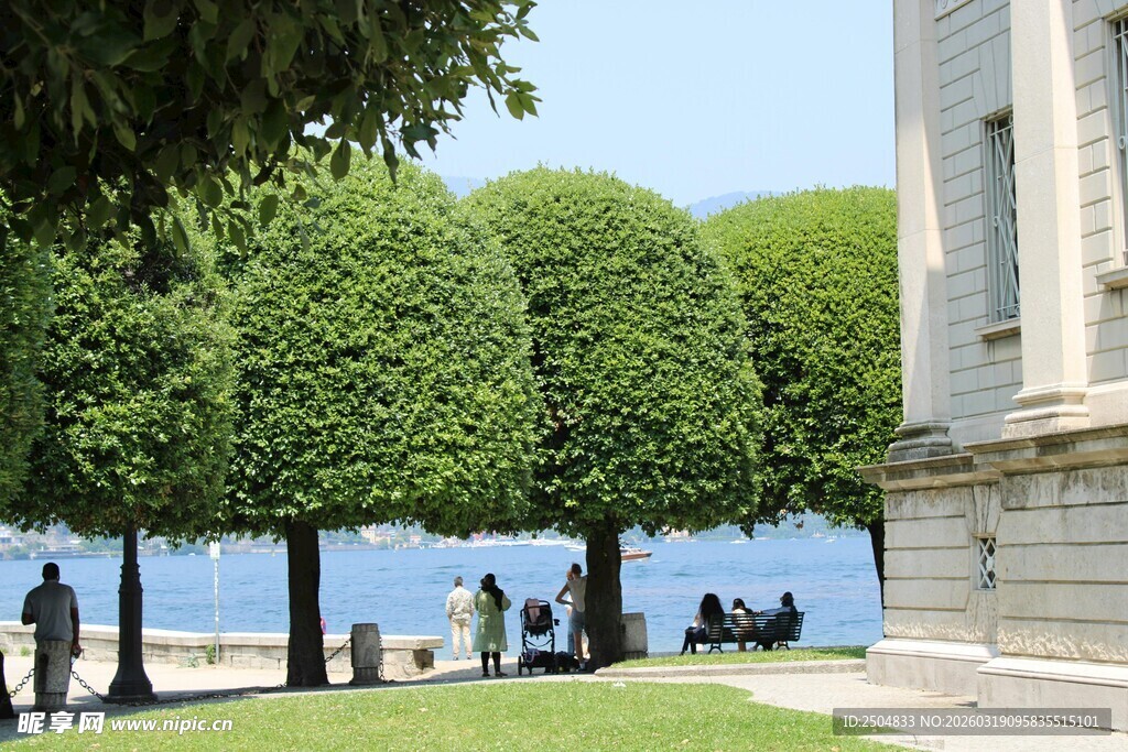 修剪整齐的街边绿树景观