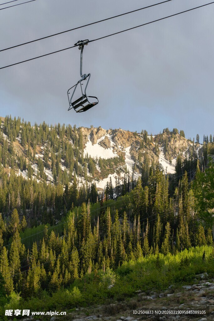山间缆车穿梭茂密森林