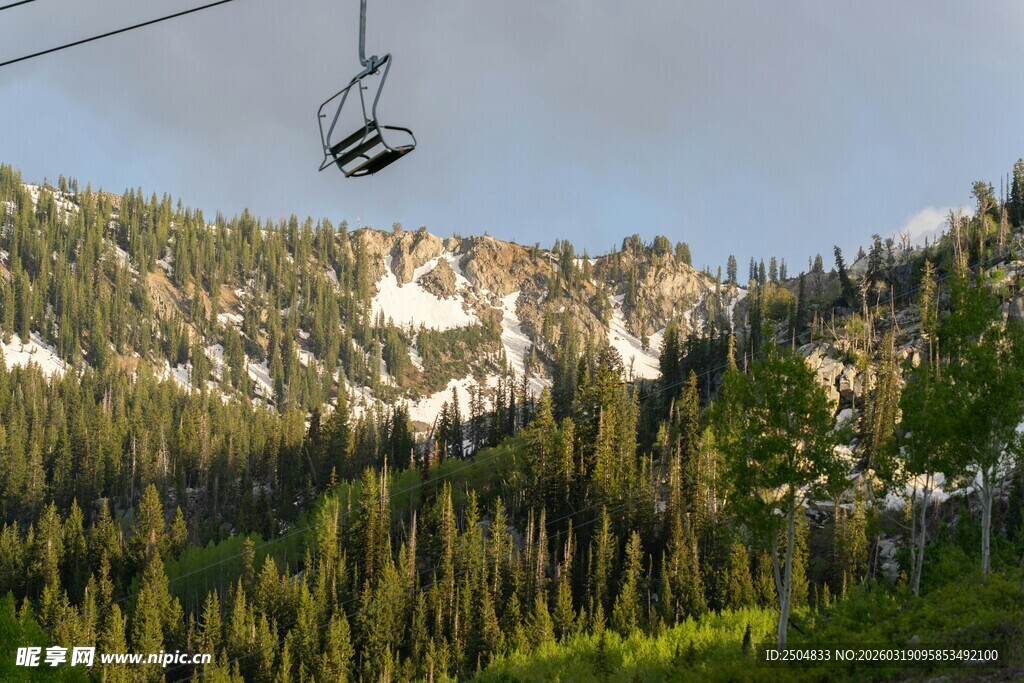 山间缆车穿行茂密森林
