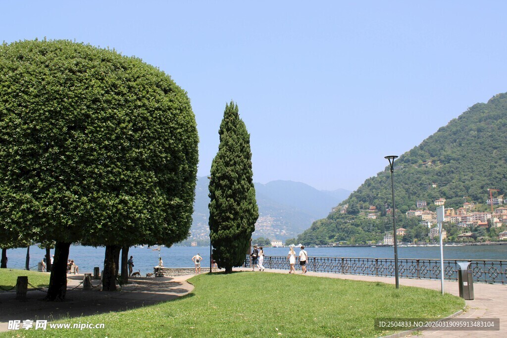 湖畔修剪整齐的绿树景观