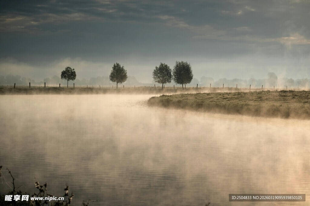 晨雾中的田野与树木