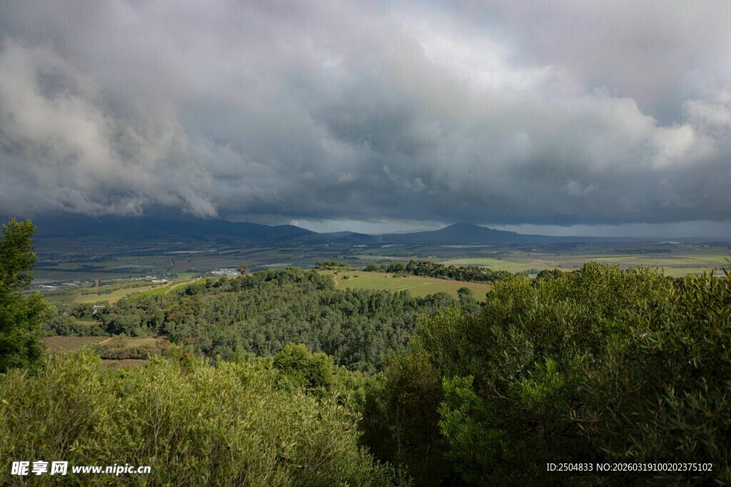 云雾笼罩下的山林景致