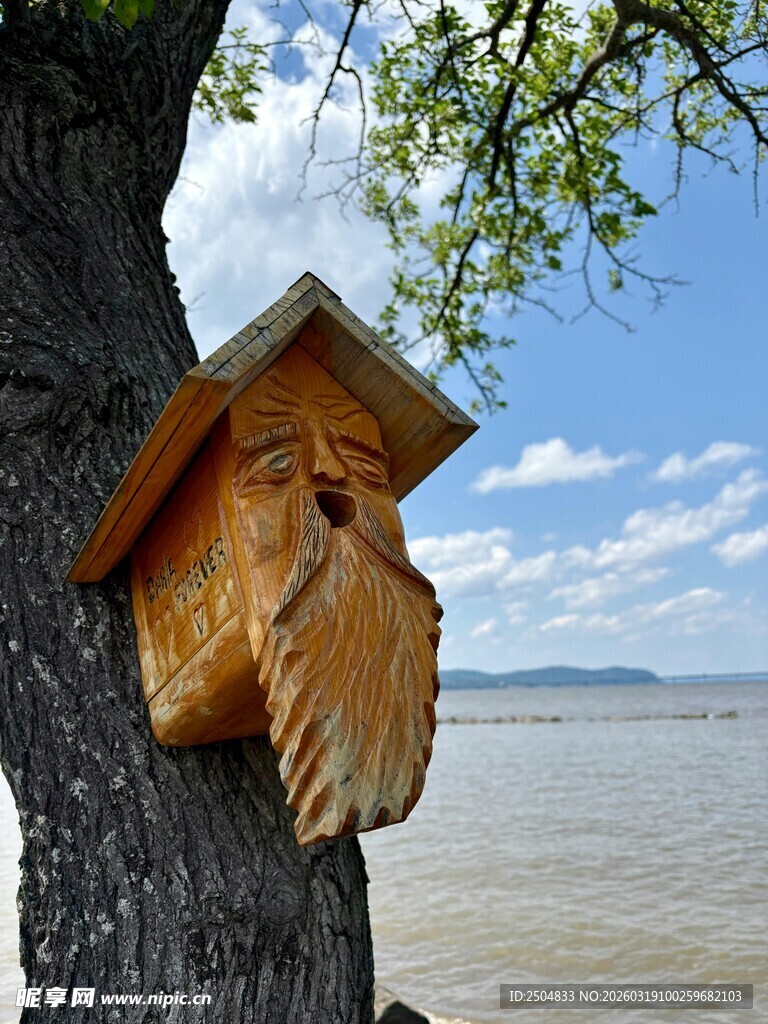 树上木雕鸟屋 创意十足