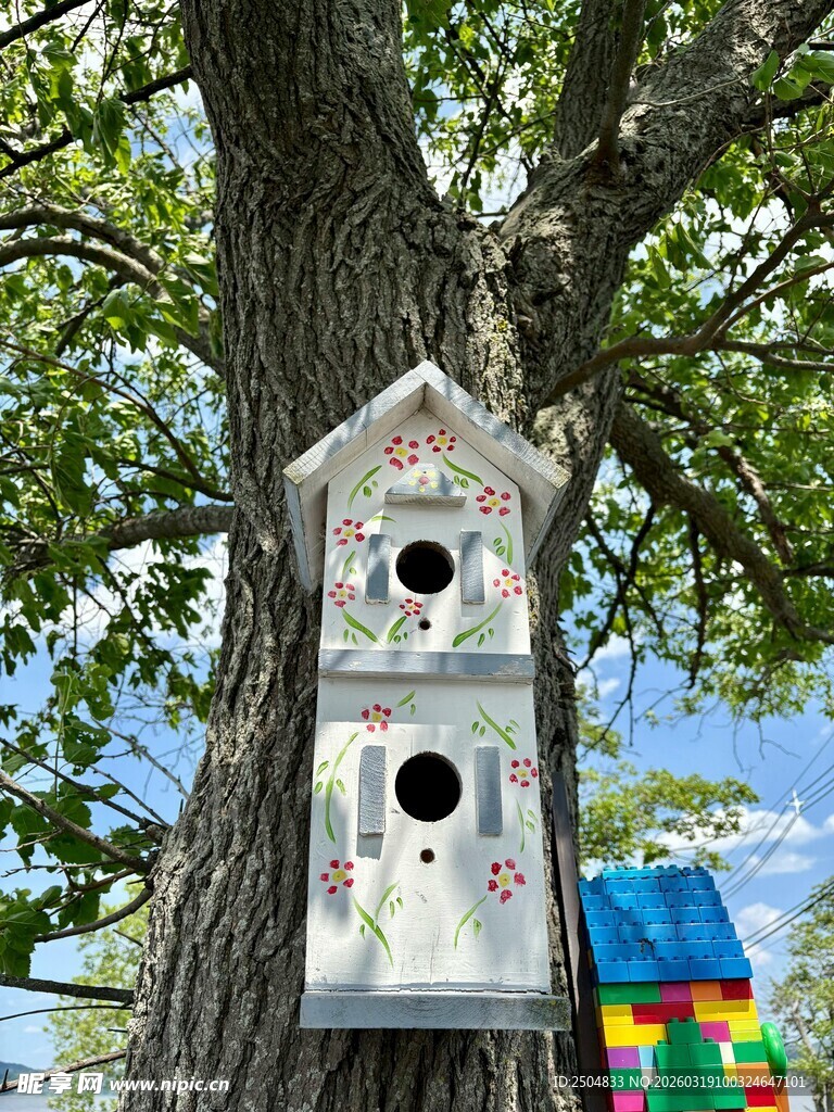 树上的双层可爱鸟屋