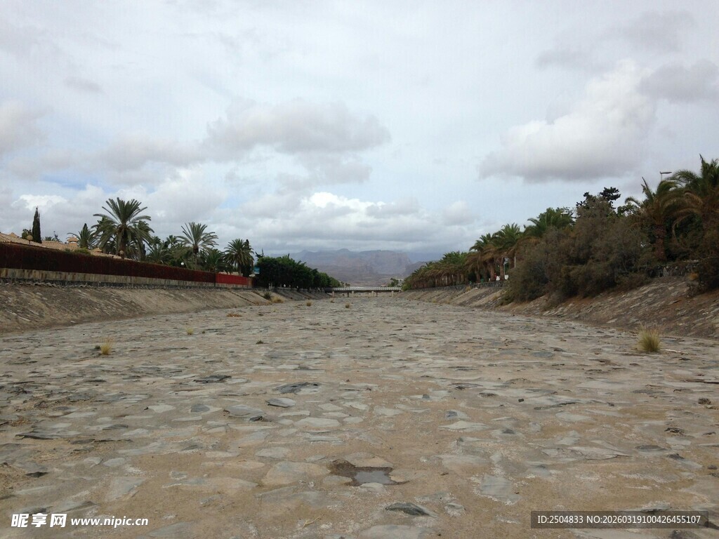 空旷沙地与远处植被景观