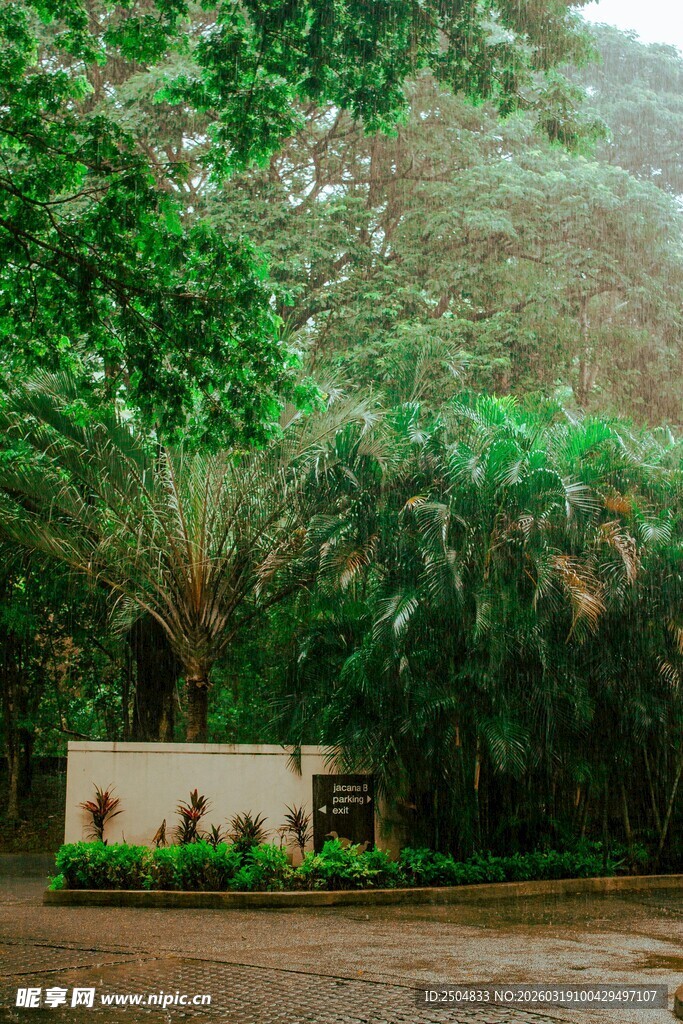 雨林中古朴的标识牌