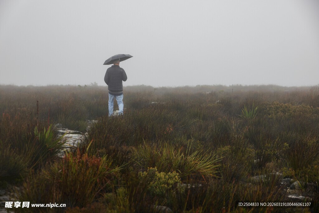 雨中持伞漫步的孤独身影