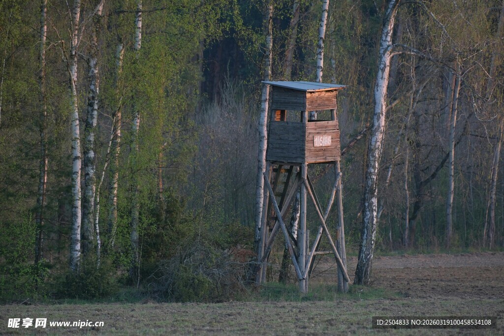 林中狩猎瞭望塔