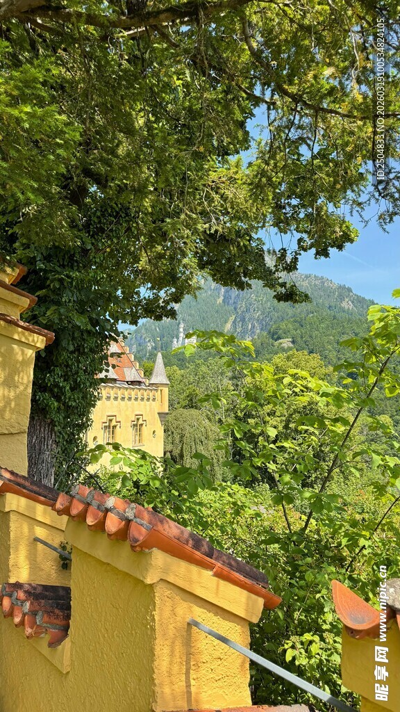 黄墙绿树间的美丽景致