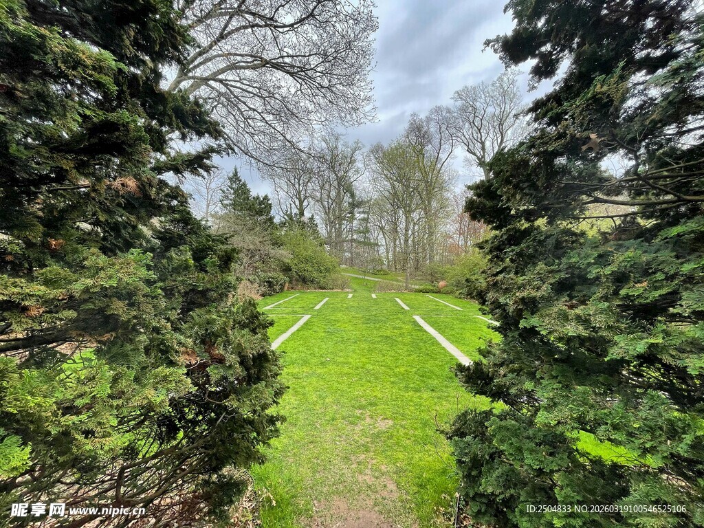 林间绿径 静谧自然之景