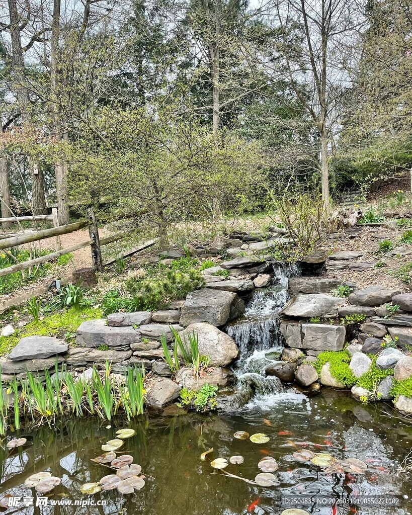 庭院中的别致水景