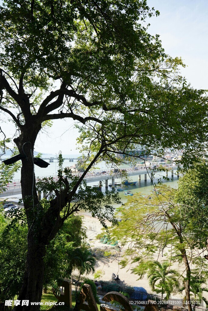 透过树枝看海滨风光