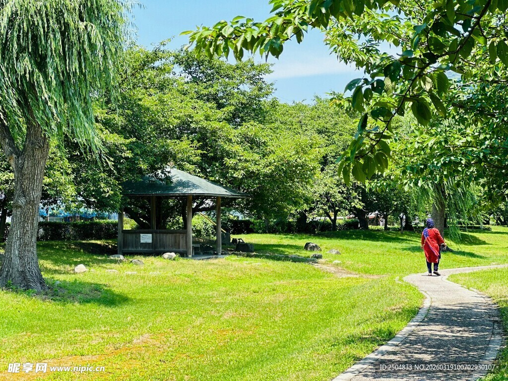 公园绿荫小径行人漫步