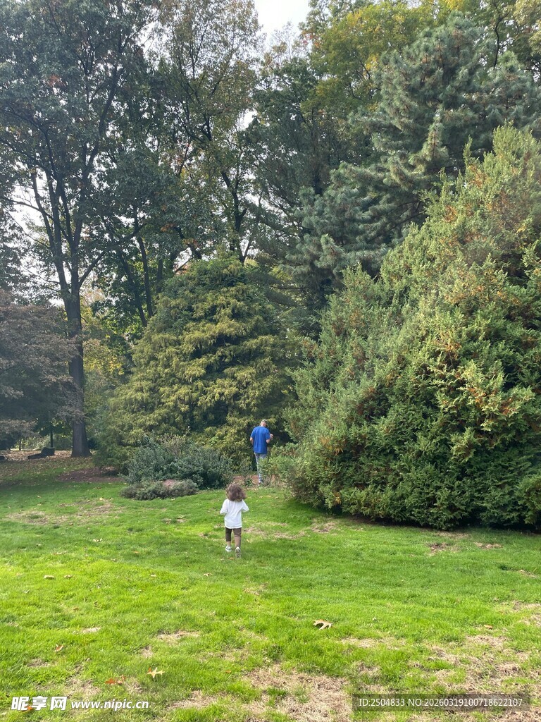 户外草地中的人物与树林