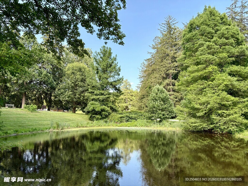 宁静湖畔绿树成荫美景