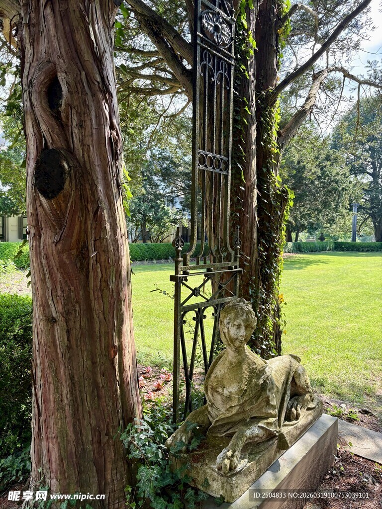 花园中的古朴铁艺鸟笼