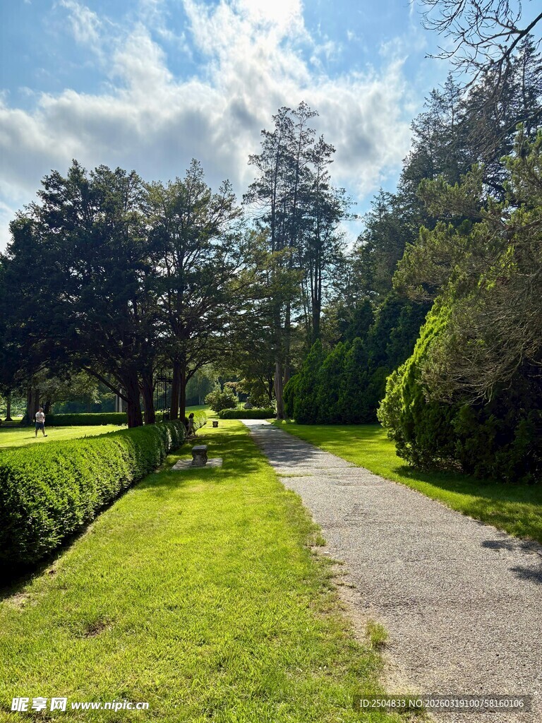 林间小径 绿意盎然的景致