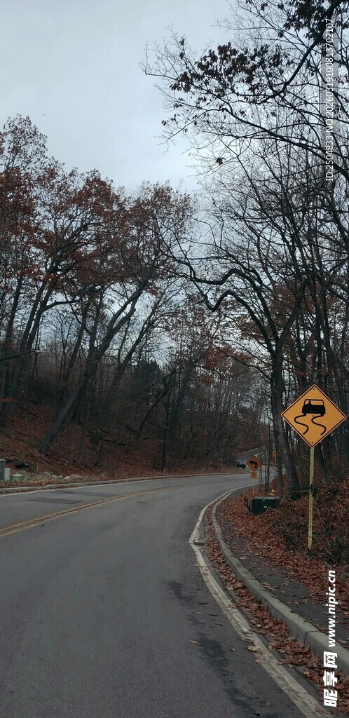 弯曲道路旁的警示标志