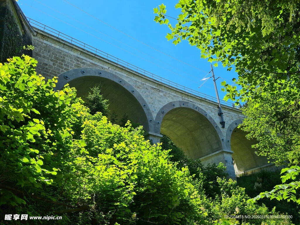 绿树掩映下的拱形桥梁