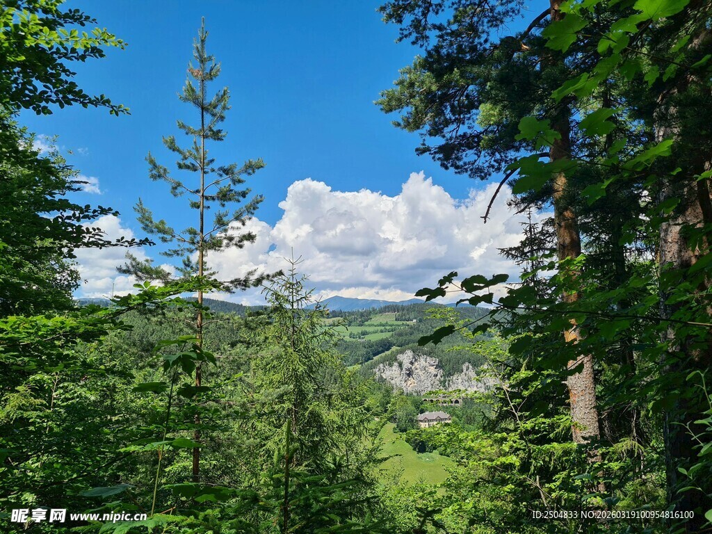 山林间的蓝天绿树美景