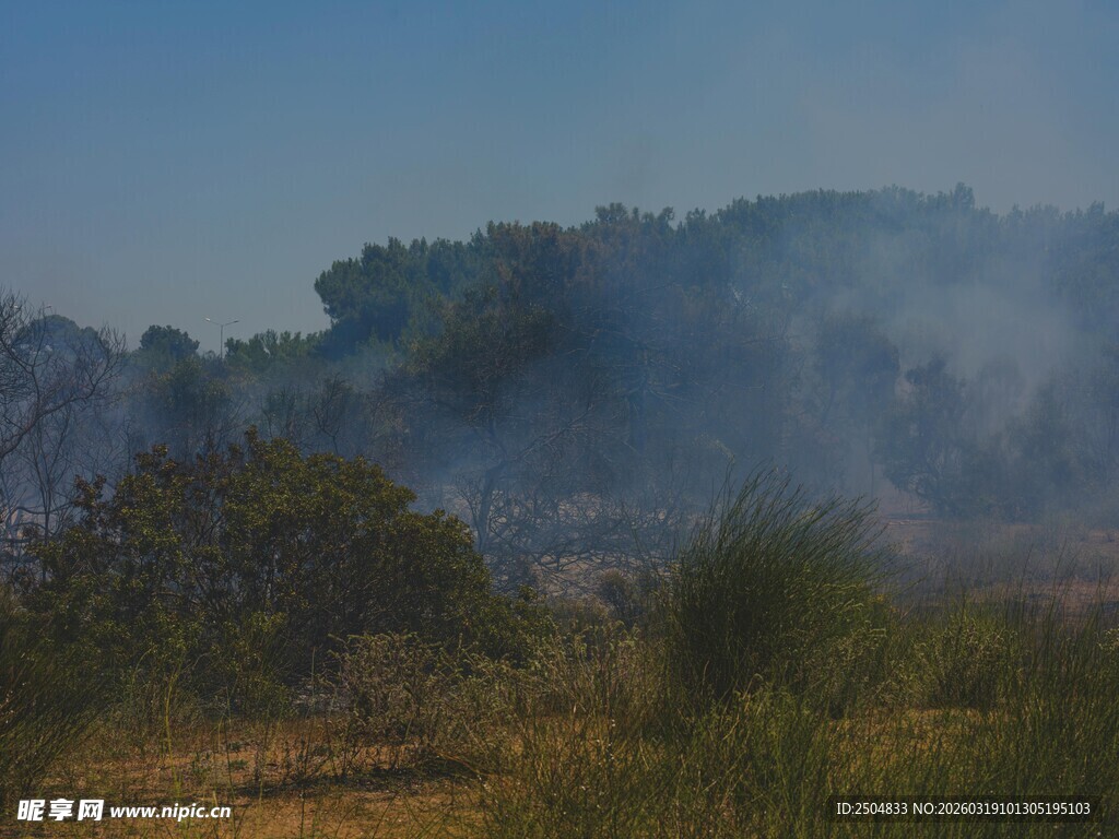 野外山林烟雾弥漫景象