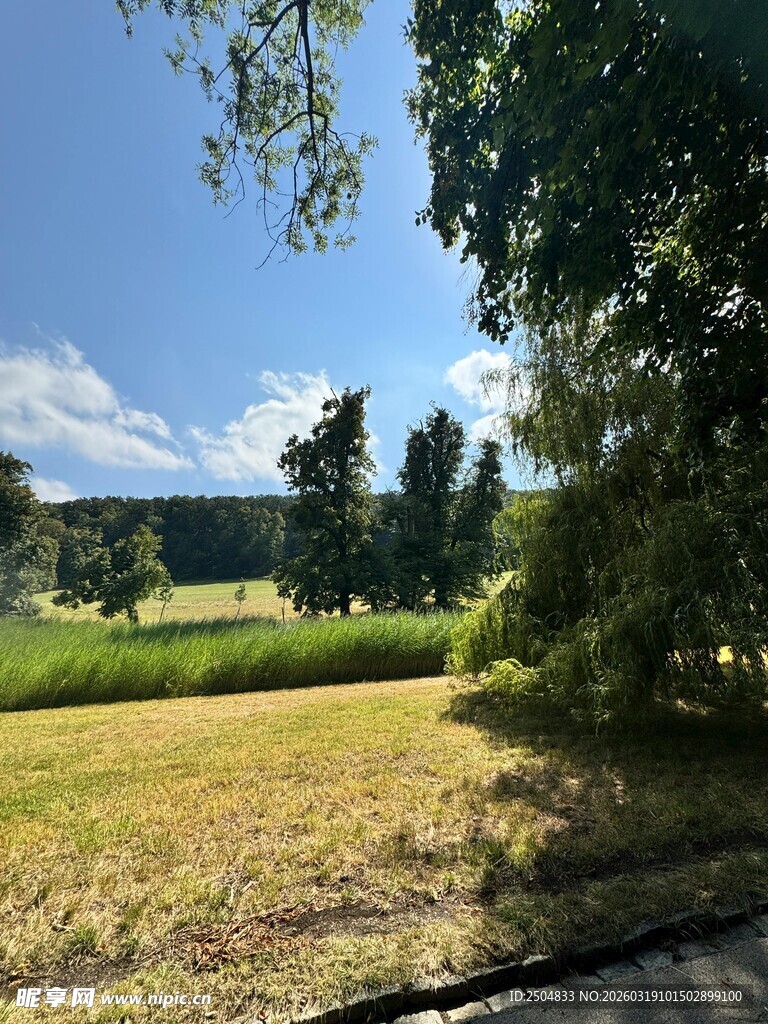 夏日郊外田园风光景色