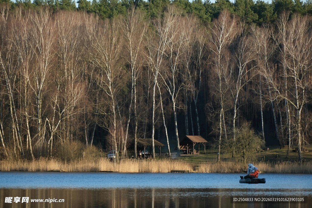湖畔小船与萧瑟树林