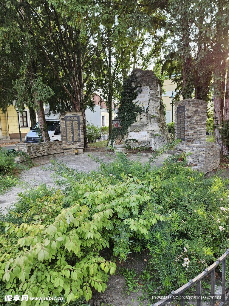 静谧林间的绿植与石景