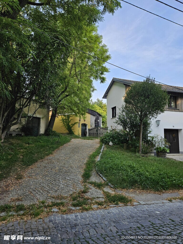 乡村宁静小路旁的 居