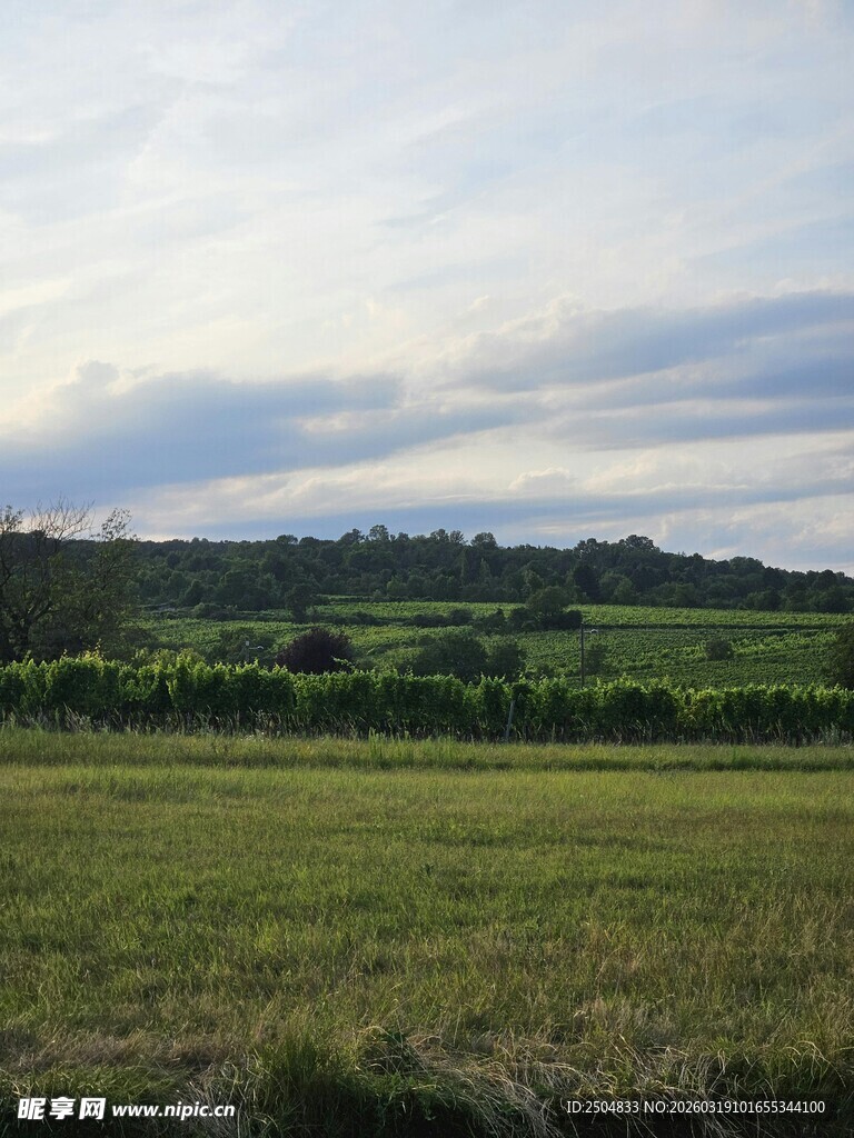 广袤田野与远处山峦风景