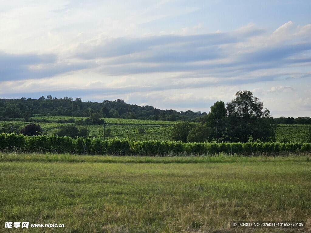 广袤绿野风光