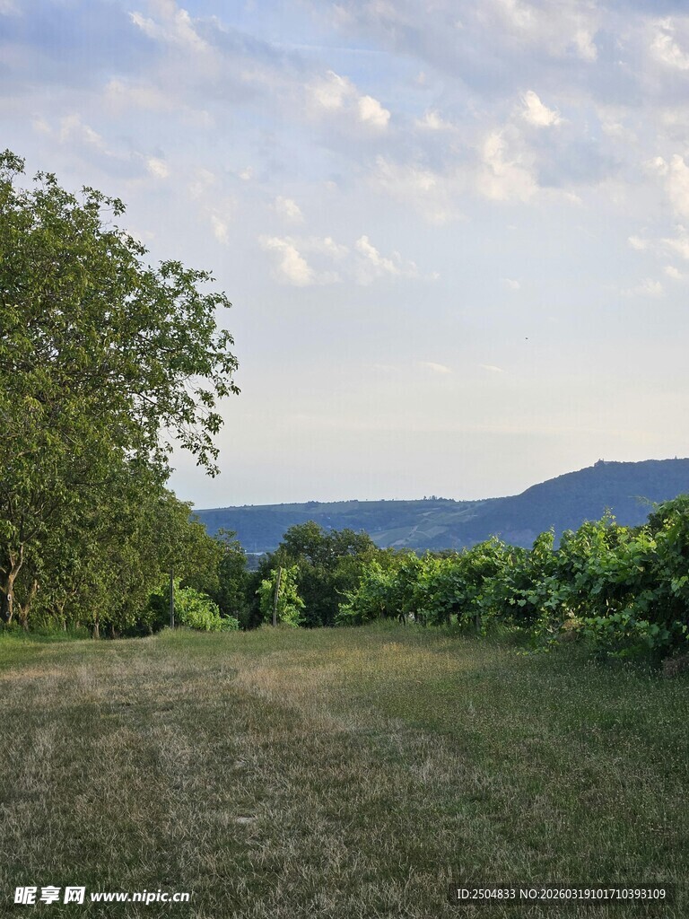 田园风光中的开阔草地