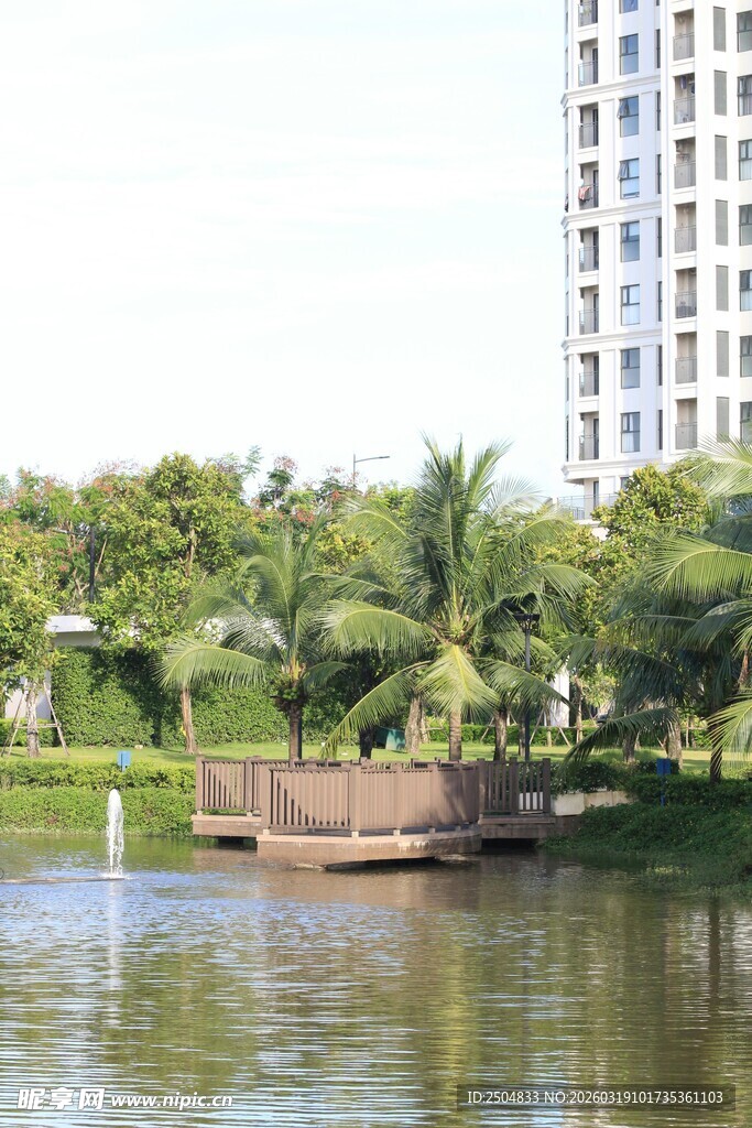 湖畔绿植环绕的城市景致