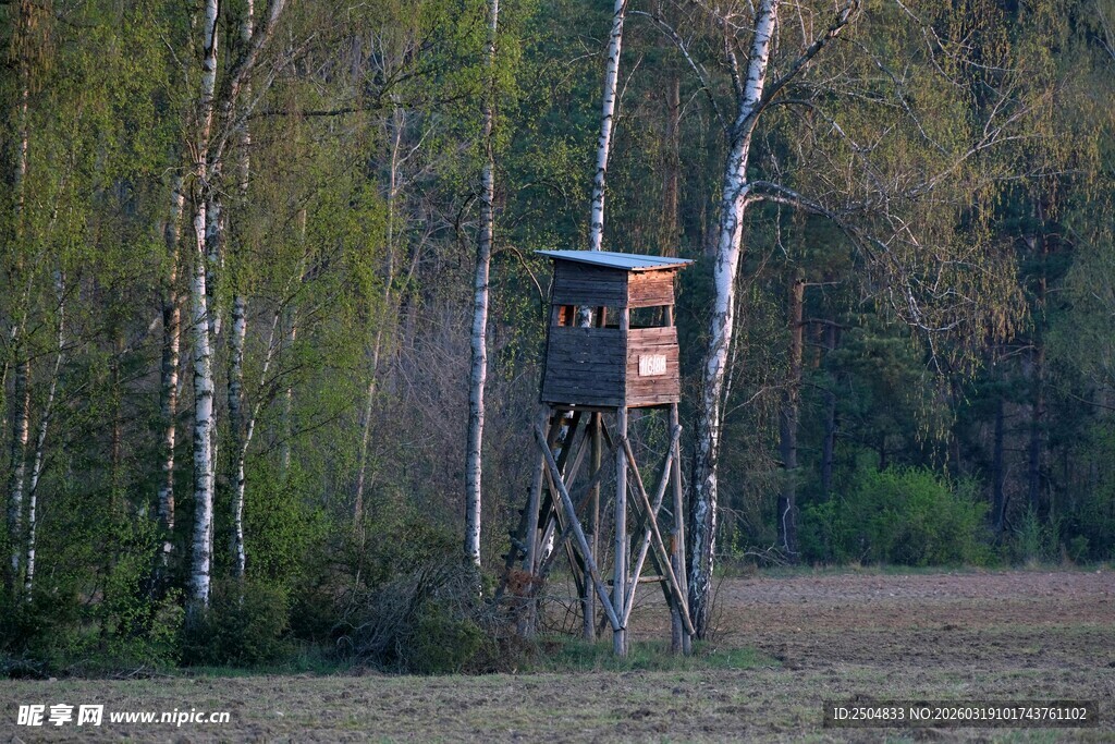 林中高架狩猎瞭望小屋