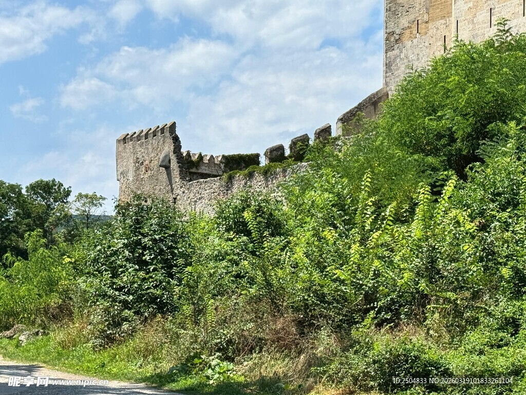 古老城墙旁的繁茂绿植