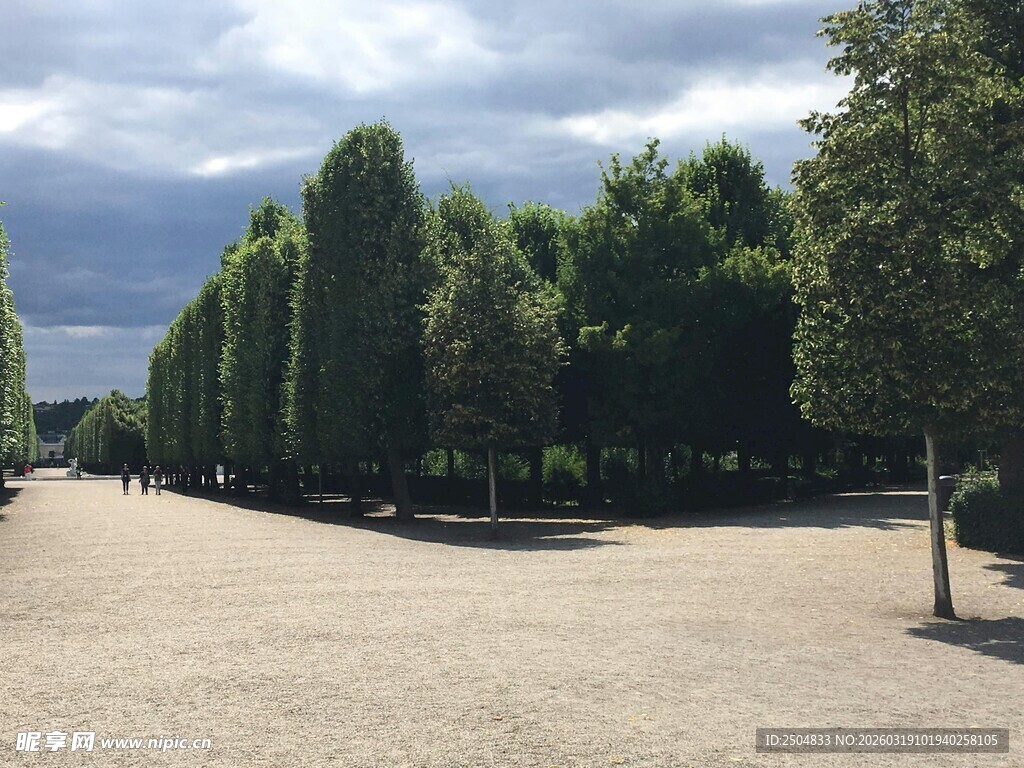 林荫开阔场地景观