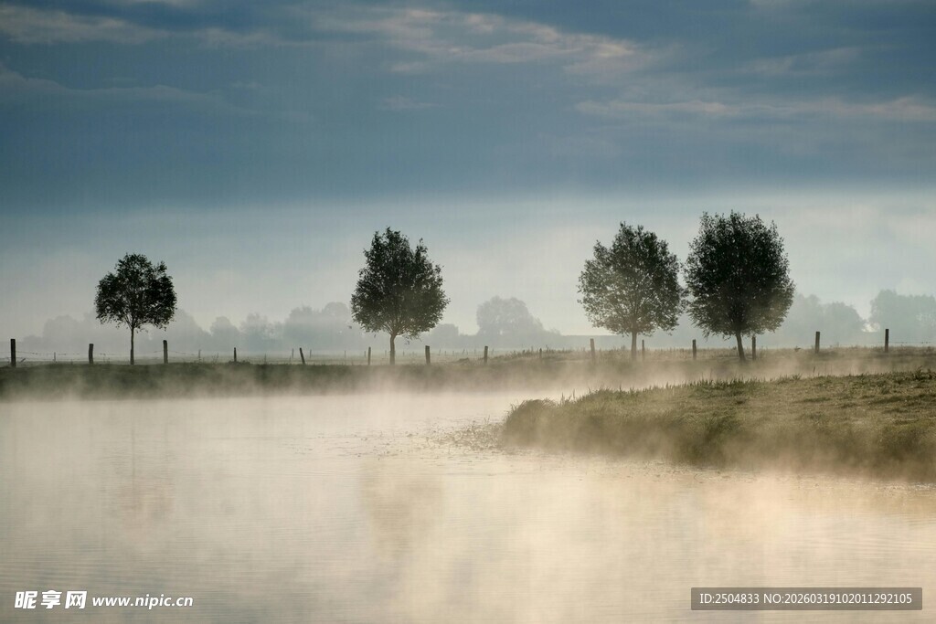 晨雾中的田野与树木