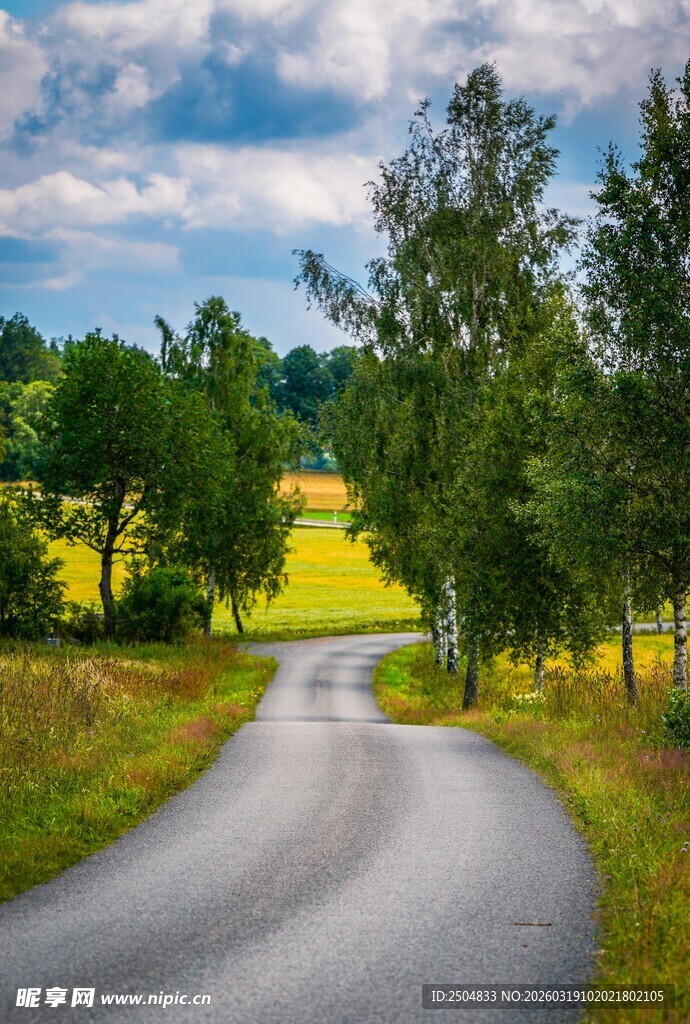 乡间蜿蜒小路 田园风光