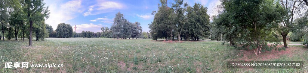 户外开阔草地与树木景观