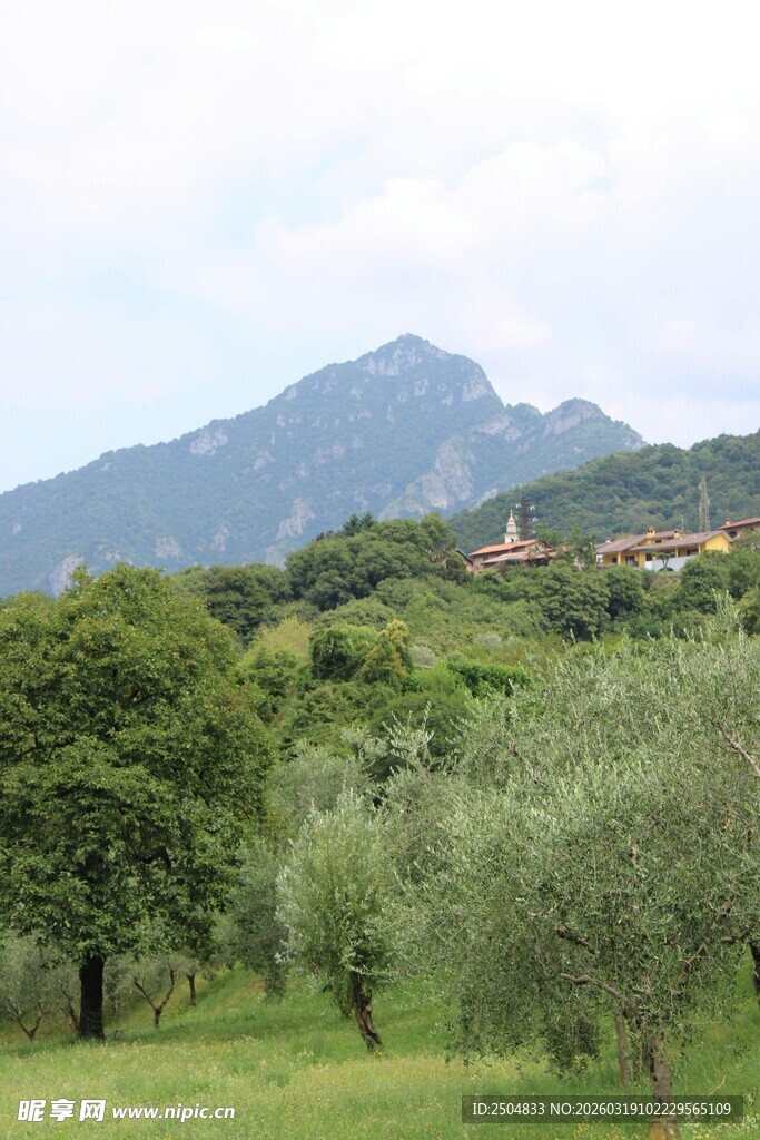 山间绿意盎然的田园风光