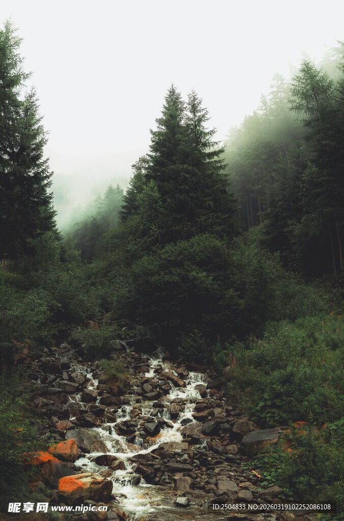 山间雾中潺潺溪流美景