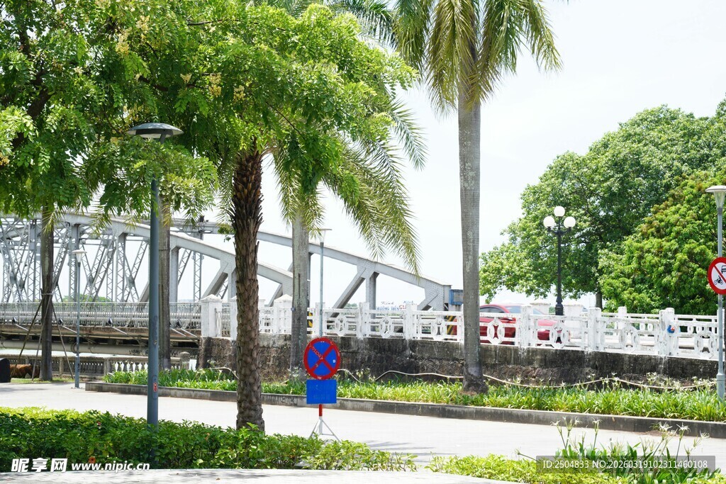 公园中漫步的行人与绿树